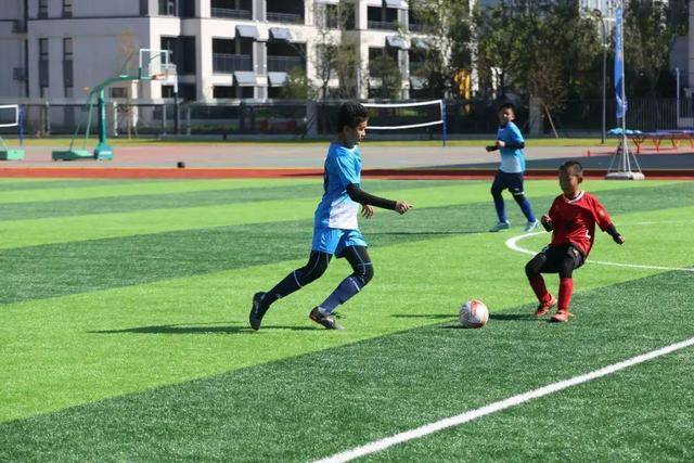 小罗社媒：我将在青岛观看解放者杯决赛